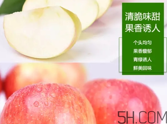 美八蘋果價格多少錢？美八蘋果多少錢一斤？