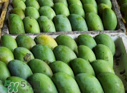 芒果有哪些品種？哪種芒果最好吃？