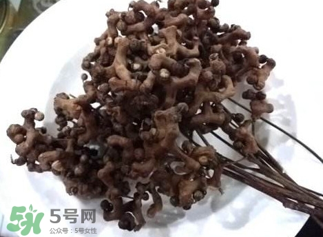 拐棗可以嫁接嗎？拐棗是哪里的特產(chǎn)