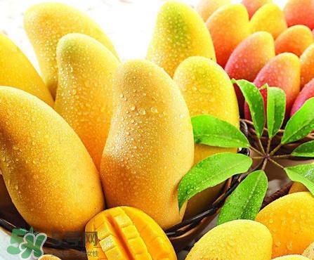 芒果怎么吃？芒果的做法大全