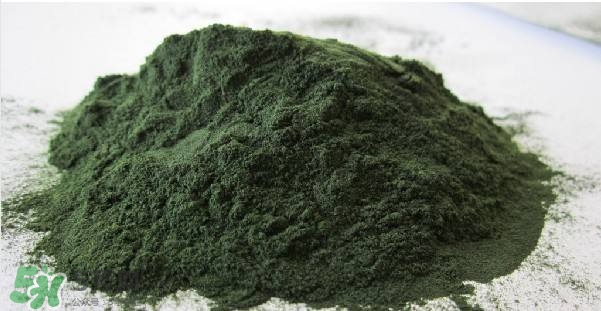 螺旋藻粉怎么吃？螺旋藻粉的功效與作用