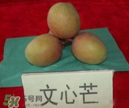 芒果有哪些品種？哪種芒果最好吃？