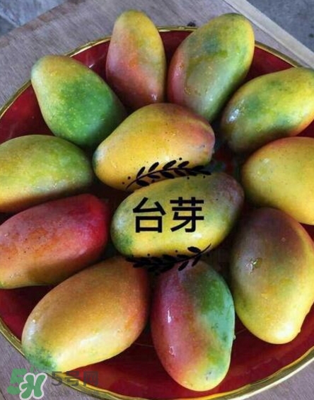 芒果有哪些品種？哪種芒果最好吃？