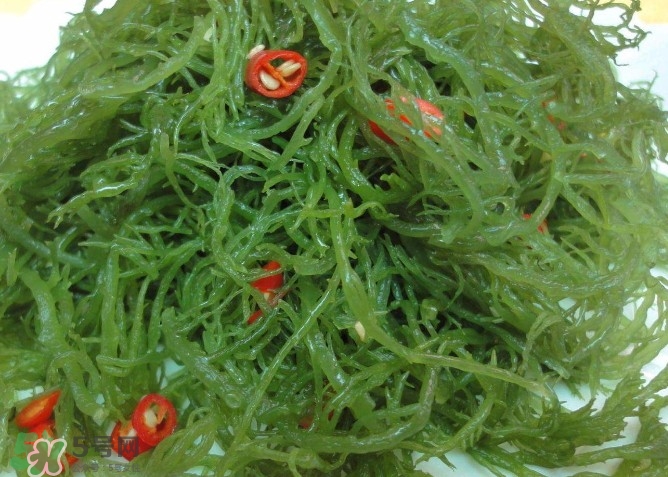 螺旋藻是海帶嗎？螺旋藻是海藻嗎？