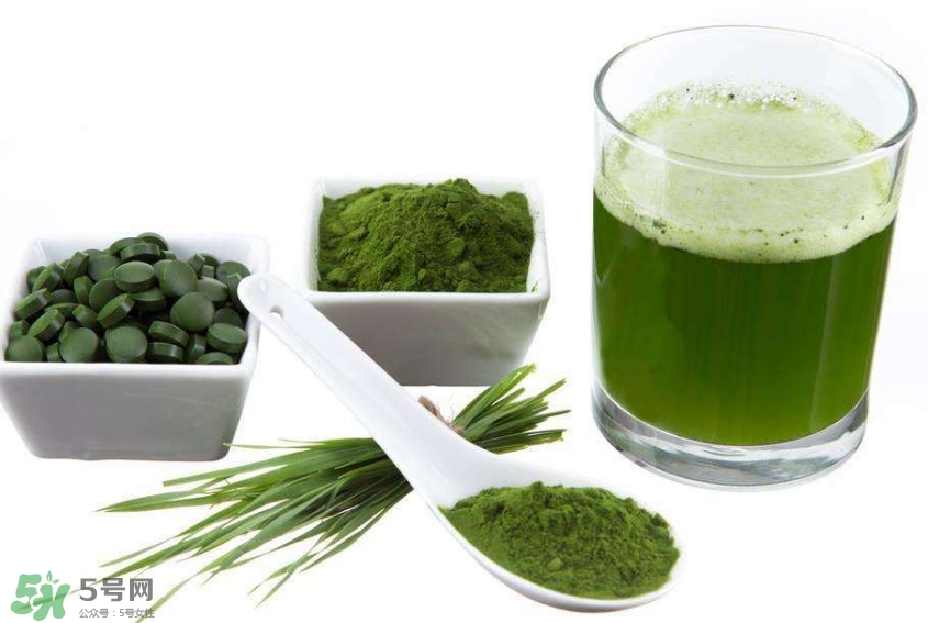 怎么辨別螺旋藻的真假？買螺旋藻怎么挑？