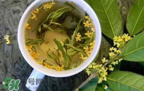 桂花茶怎么泡好喝？桂花茶怎么制作？