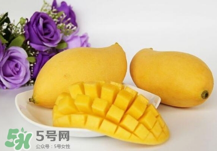 芒果有哪些品種？哪種芒果最好吃？