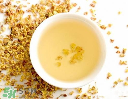 桂花茶怎么泡好喝？桂花茶怎么制作？