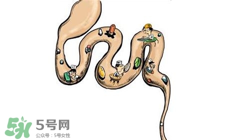 螺旋藻能治胃病嗎？有胃病日常需要注意什么？