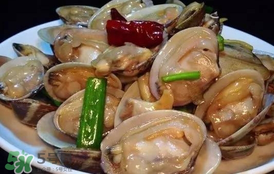 蛤蜊和花甲一樣嗎？蛤蜊和花甲的區(qū)別