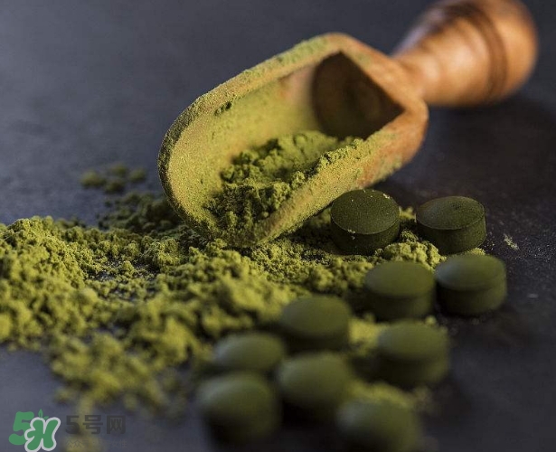 螺旋藻減肥嗎？螺旋藻減肥的正確吃法