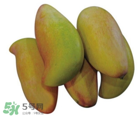 芒果有哪些品種？哪種芒果最好吃？