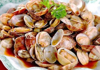 蛤蜊和花甲一樣嗎？蛤蜊和花甲的區(qū)別