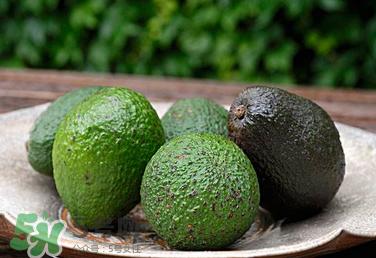 牛油果怎么催熟？牛油果可以蒸熟吃嗎？