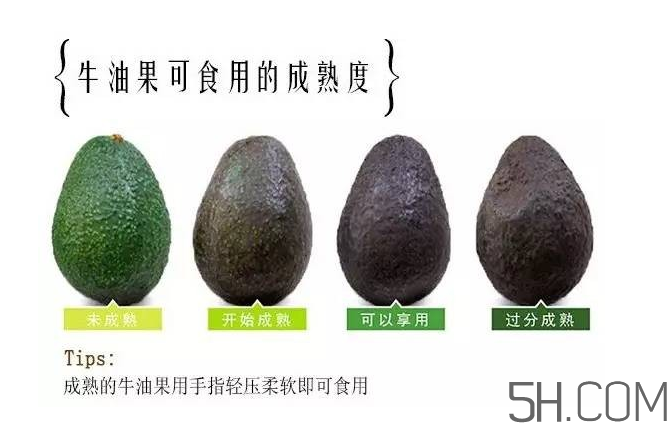 牛油果和香蕉一起能多吃嗎？牛油果挑什么樣的好？