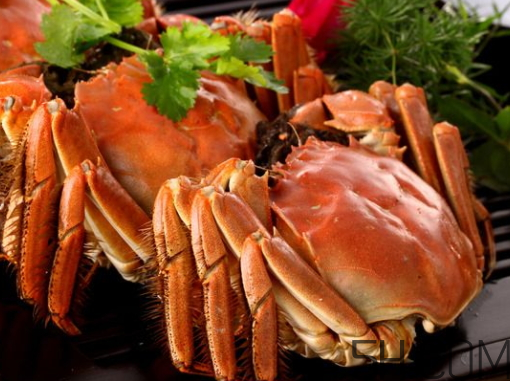 中秋節(jié)送螃蟹好嗎？中秋節(jié)送大閘蟹的寓意