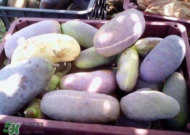 八月瓜可以補(bǔ)腎嗎？八月瓜的營(yíng)養(yǎng)價(jià)值