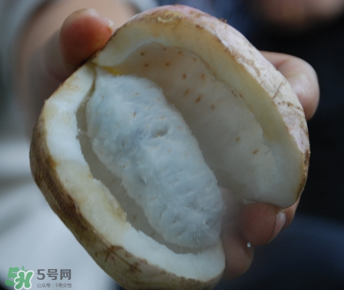 八月瓜可以經(jīng)常吃嗎？八月瓜可以多吃嗎？