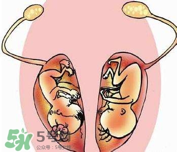 雙子宮對懷孕有影響嗎？雙子宮懷孕要注意什么？