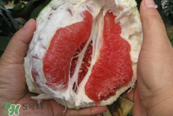 紅肉蜜柚可以儲存多久？紅肉蜜柚怎么挑選