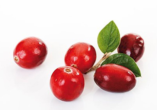 蔓越莓和越橘有什么區(qū)別？蔓越莓多少錢(qián)一斤2017？