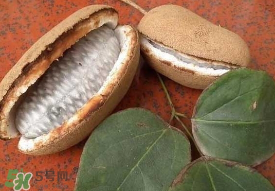 八月瓜能放冰箱嗎？八月瓜怎么保存？