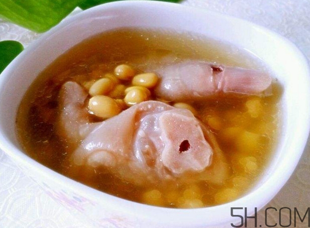 前豬腳好還是后豬腳好？豬腳和什么一起煲湯好