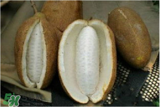 八月瓜可以美容嗎？八月瓜怎么吃有美容效果？