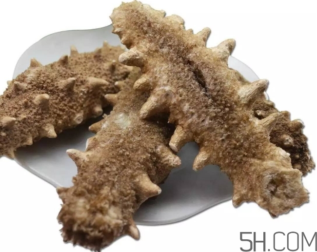 海參顏色深好還是淺好？海參顏色發(fā)白時怎么回事？