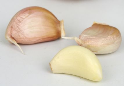 大蒜泡酒能釣魚嗎？大蒜泡酒釣魚的方法