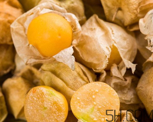 姑娘果能多吃嗎？姑娘果一次吃多少？