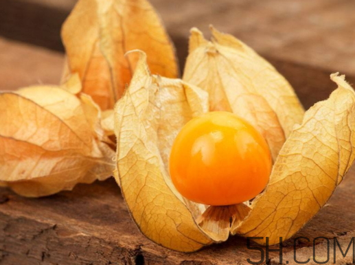 姑娘果能多吃嗎？姑娘果一次吃多少？