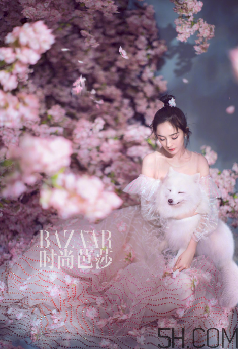 臥蠶可以用脂肪填充嗎？臥蠶可以打玻尿酸么？