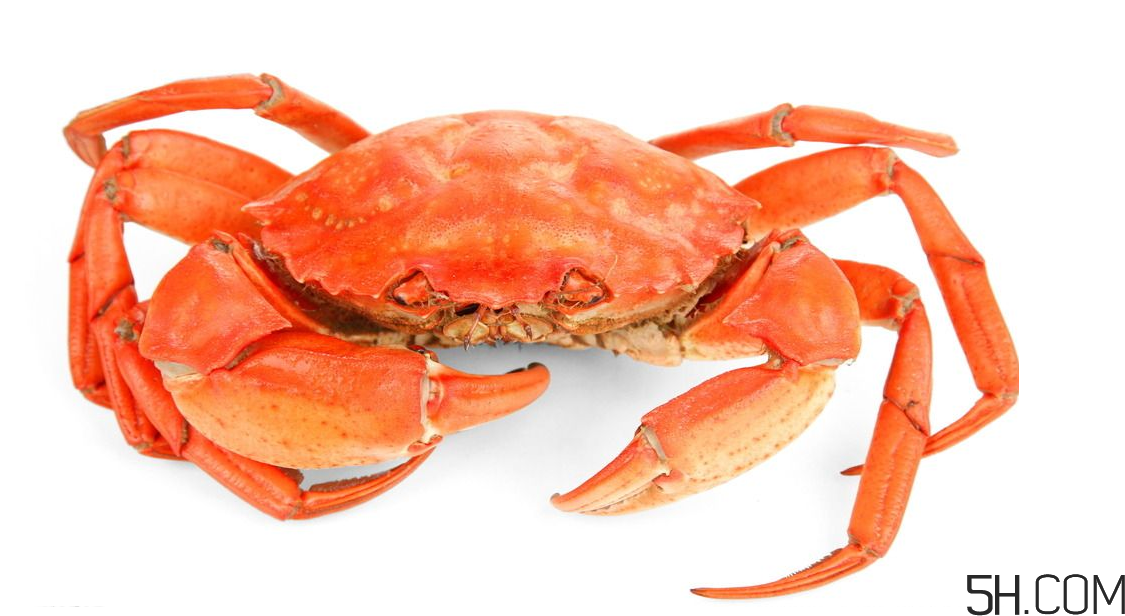 螃蟹煮多久？螃蟹的價(jià)格