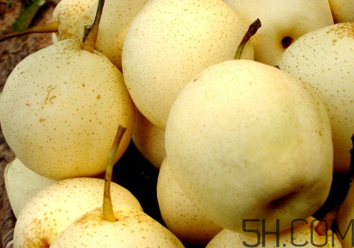 雪梨可以放冰箱嗎？雪梨怎么保存？