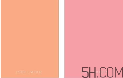 象牙白是什么顏色？象牙白是黃調(diào)還是粉調(diào)