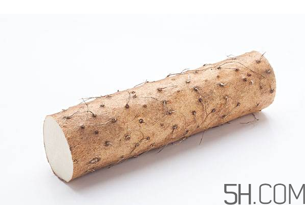 山藥可以每天吃嗎？鐵棍山藥的營養(yǎng)價值是多少？