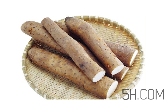 山藥發(fā)芽怎么處理？山藥的功效及作用