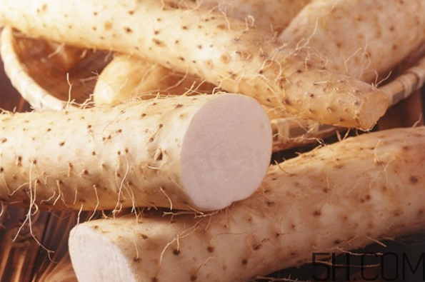 山藥適合哪些人食用？如何儲存山藥？