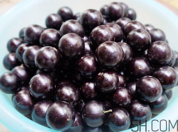 樹(shù)葡萄怎么種植？樹(shù)葡萄要多少年才掛果