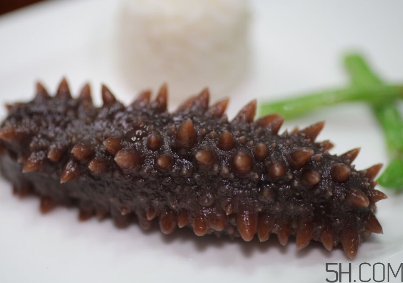 海參是酸性還是堿性？海參是涼性還是熱性？