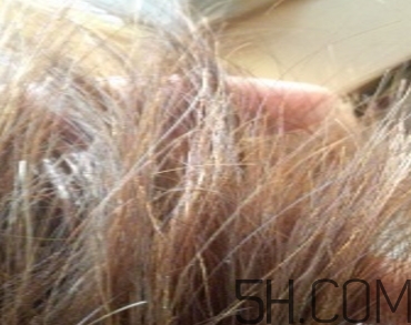 韻之堂是什么牌子？韻之堂洗發(fā)水怎么樣？