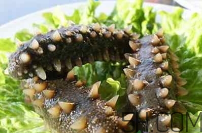 術(shù)后能吃海參嗎？術(shù)后吃海參的功效與作用