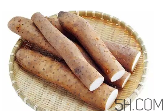 山藥冬天怎么保存不爛？山藥可以和白蘿卜一起吃嗎？