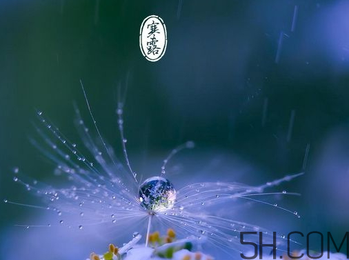 2017年寒露會(huì)下雨嗎？寒露下雨好嗎？
