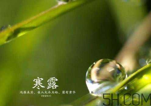 2017年寒露會(huì)下雨嗎？寒露下雨好嗎？