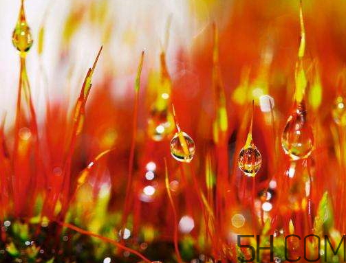 2017年寒露會(huì)下雨嗎？寒露下雨好嗎？