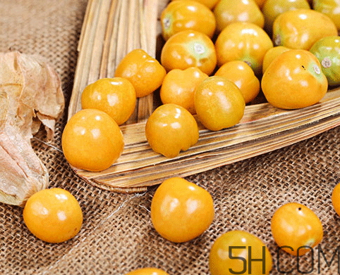 姑娘果是燈籠果嗎？姑娘果有幾種？