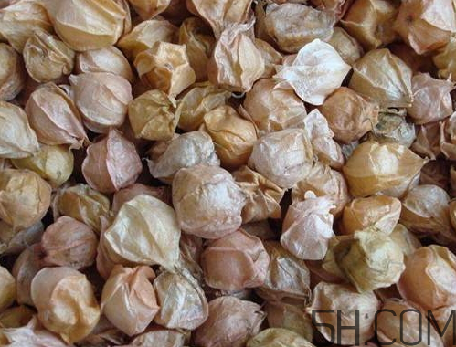 姑娘果是燈籠果嗎？姑娘果有幾種？