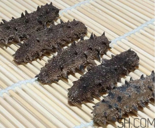 海參顏色深好還是淺好？海參顏色發(fā)白時怎么回事？